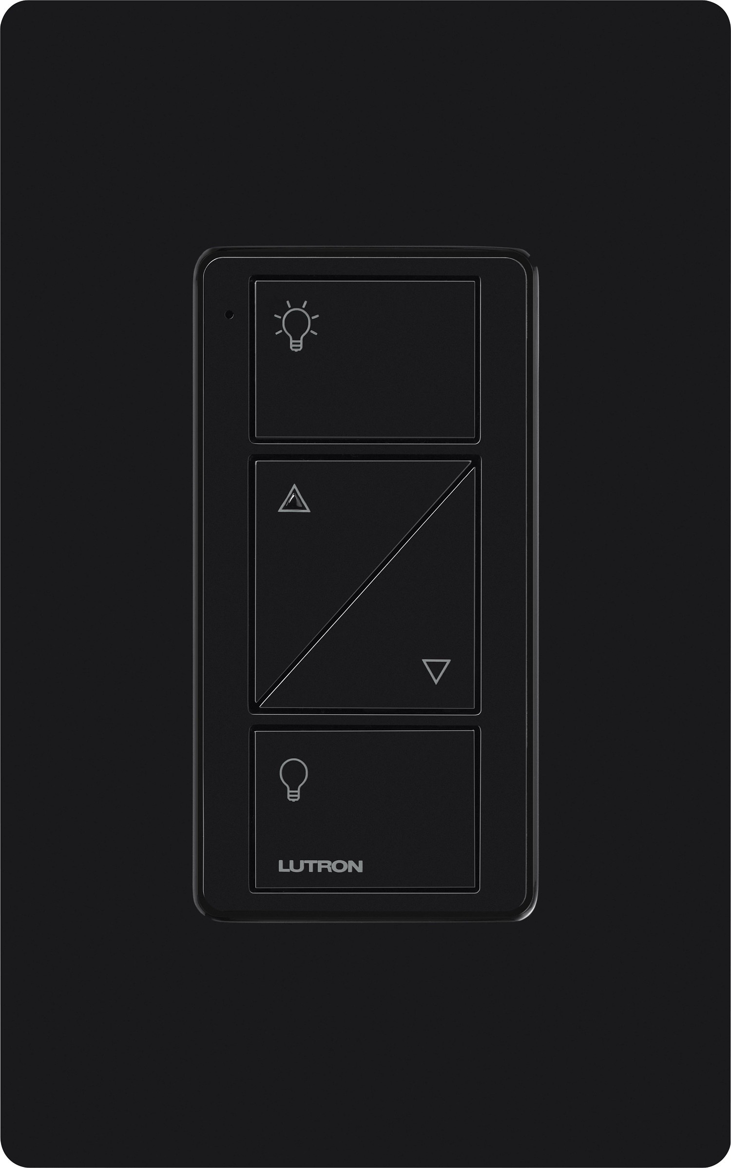 Lutron® PJL-2BRL-GBL-L01 Lighting Control Remotes