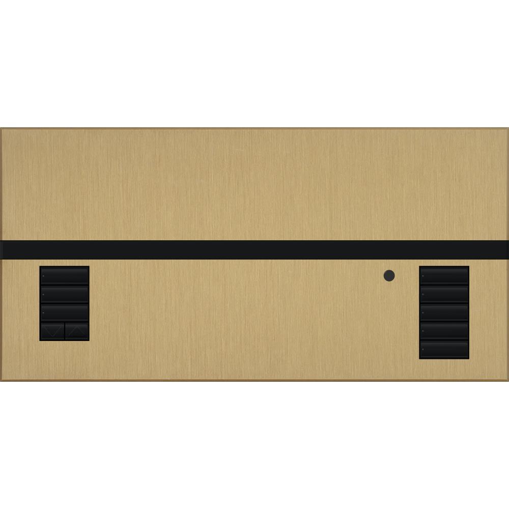 Lutron® QSGFP-1BRA Lighting Control Systems