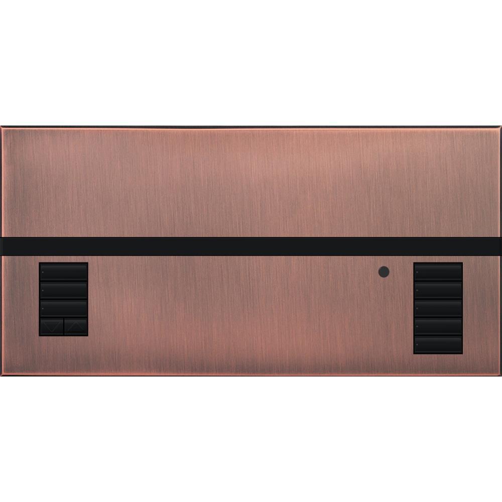 Lutron® QSGFP-1QZ Lighting Control Systems