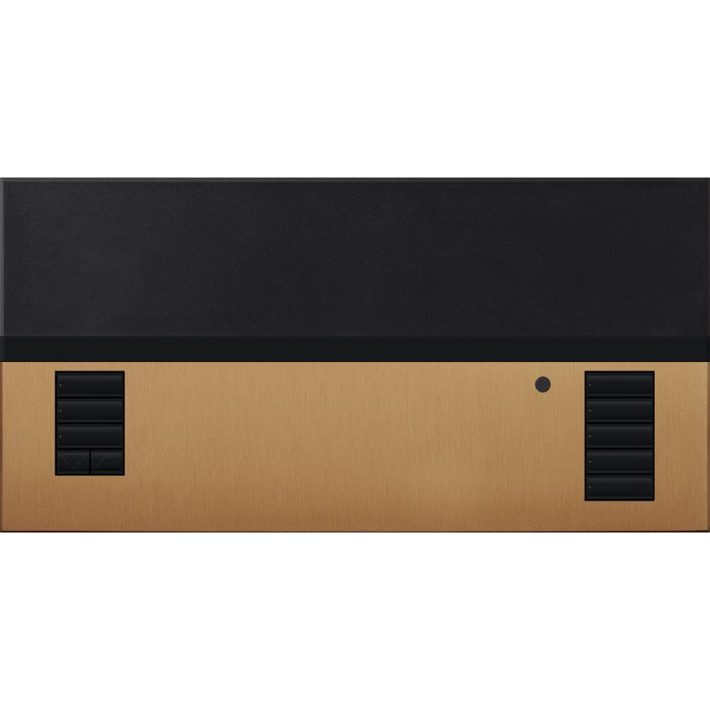 Lutron® QSGFP-1TSB Lighting Control Systems