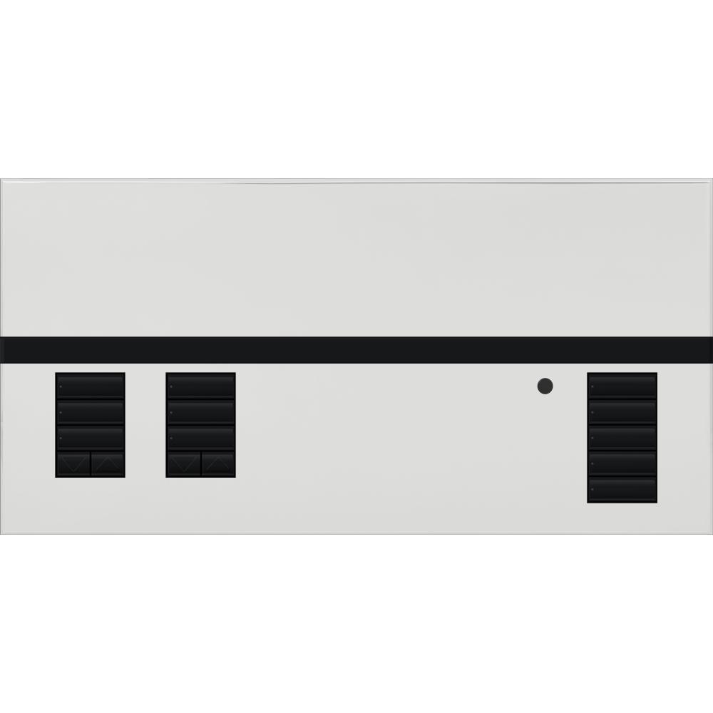 Lutron® QSGFP-2BC Lighting Control Systems
