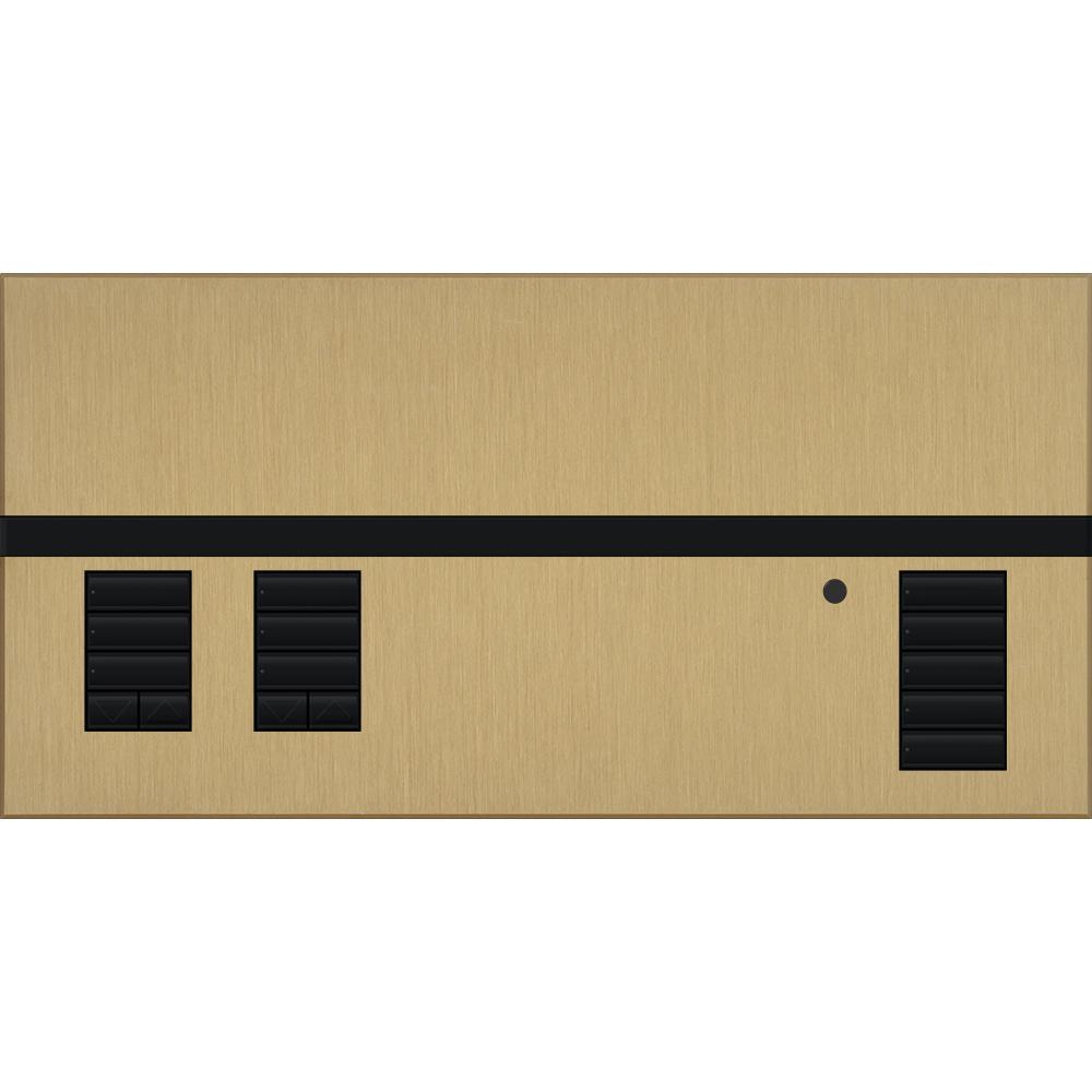 Lutron® QSGFP-2BRA Lighting Control Systems