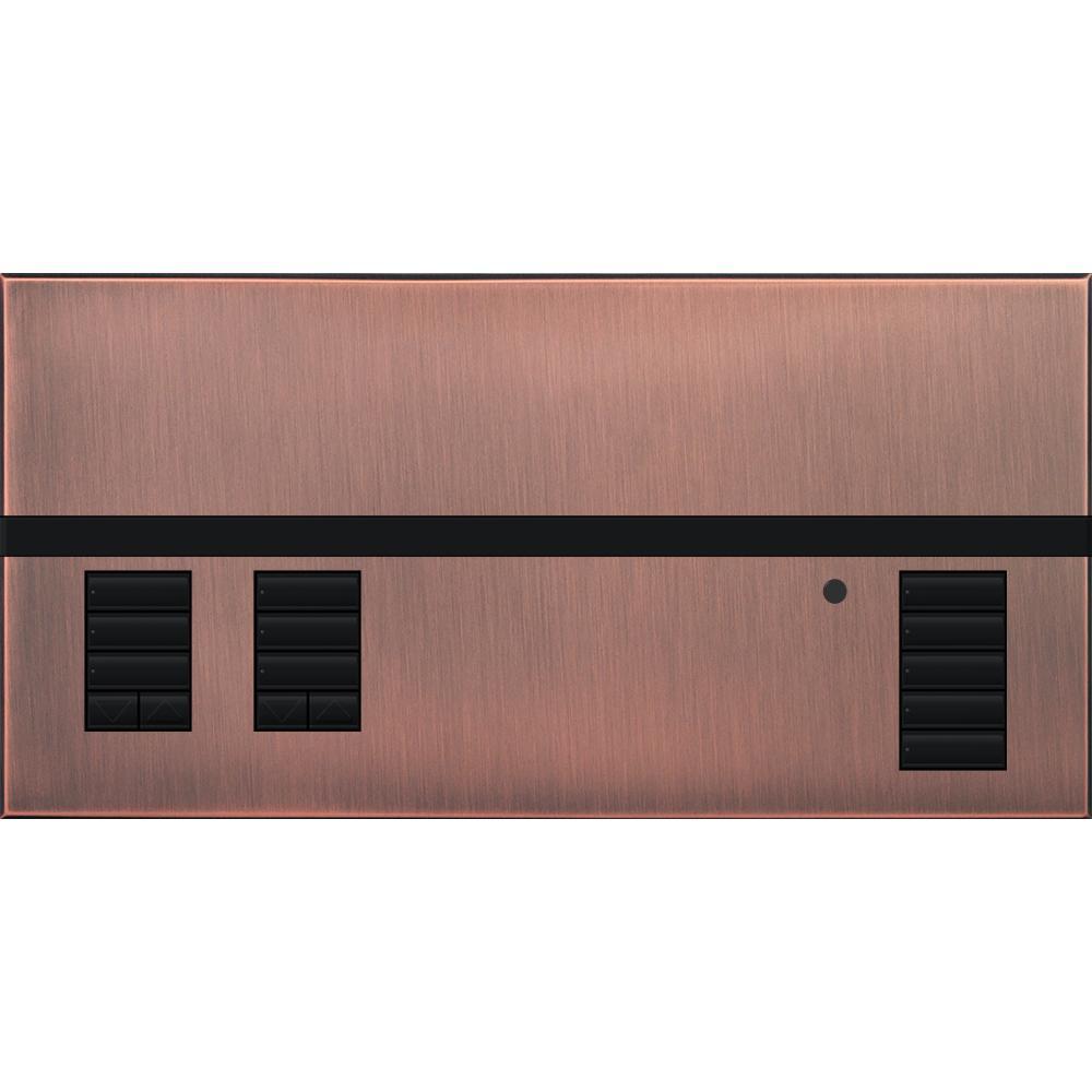 Lutron® QSGFP-2QZ Lighting Control Systems