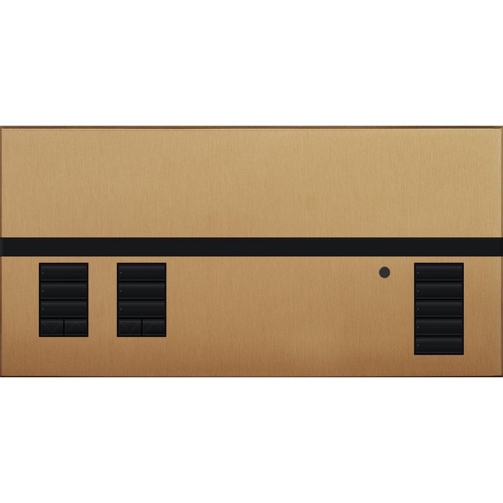 Lutron® QSGFP-2SB Lighting Control Systems