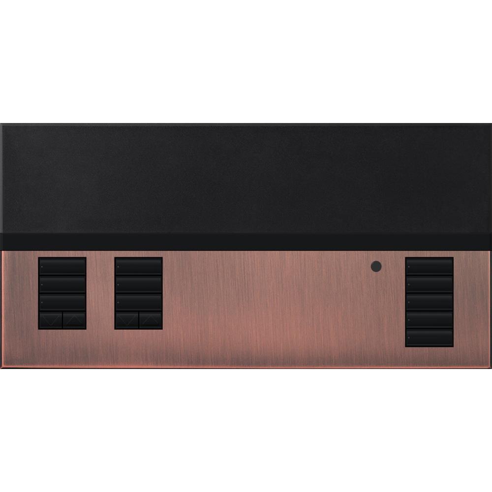 Lutron® QSGFP-2TQZ Lighting Control Systems