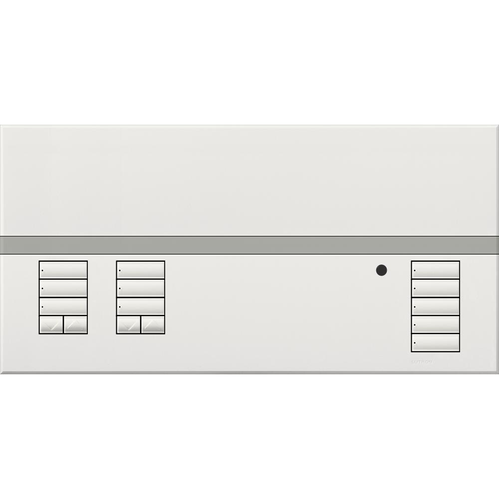 Lutron® QSGFP-2WH Lighting Control Wall Plates & Accessories
