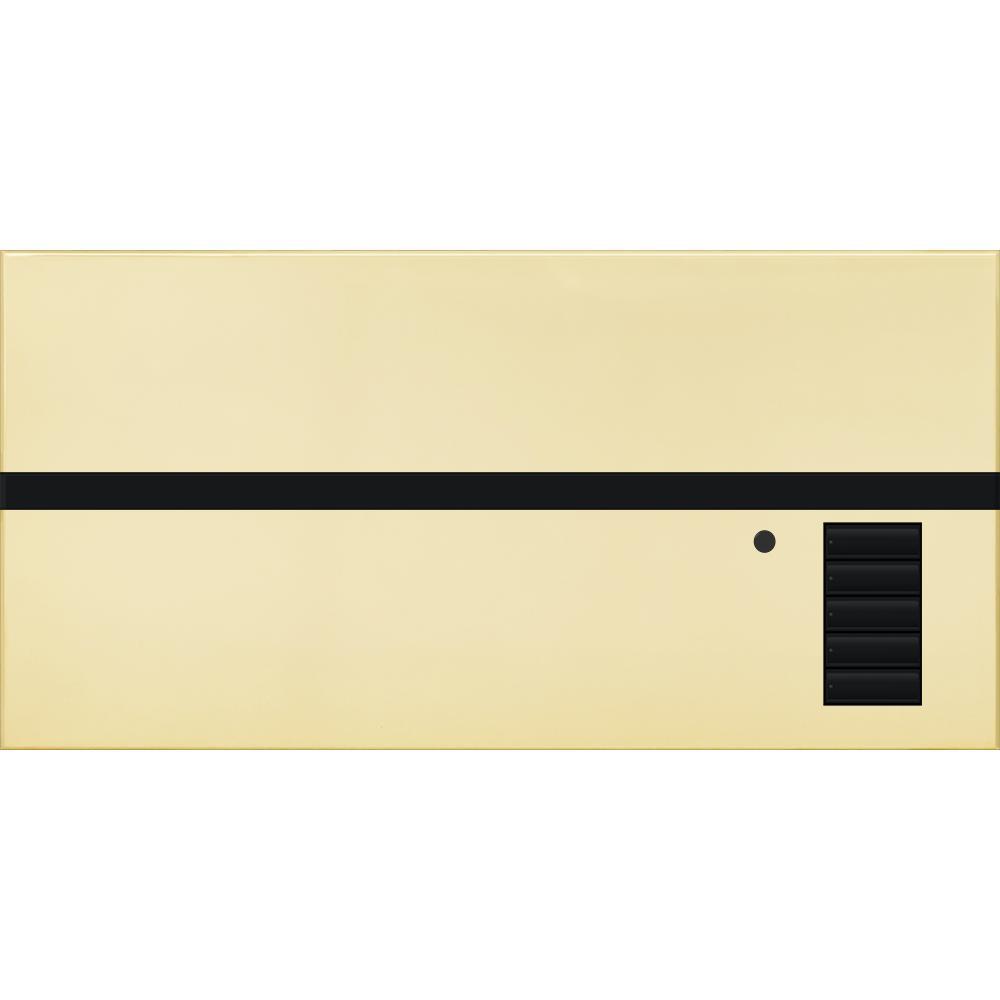 Lutron® QSGFP-BB Lighting Control Systems