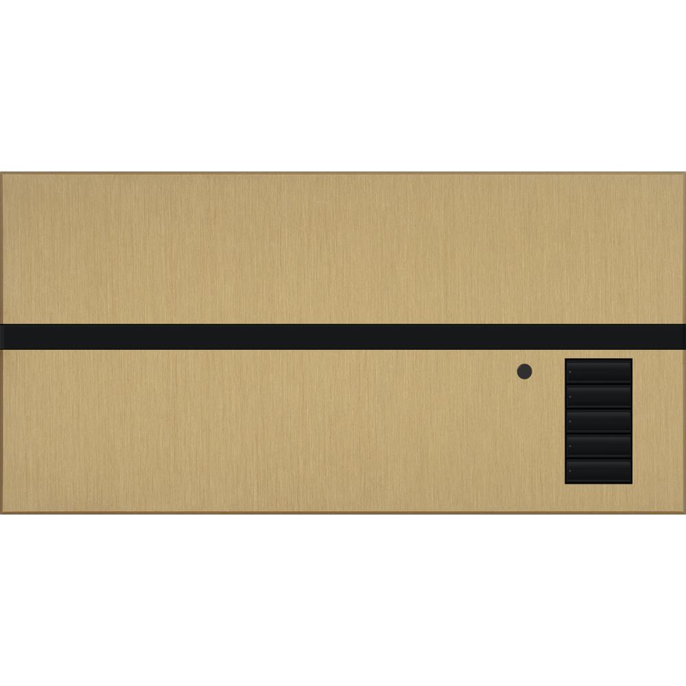 Lutron® QSGFP-BRA Lighting Control Systems
