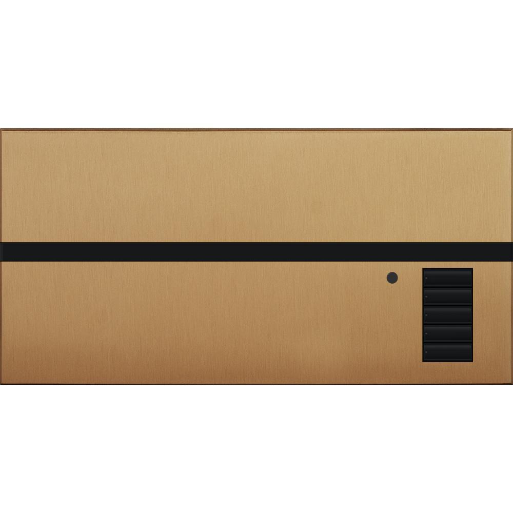 Lutron® QSGFP-SB Lighting Control Systems