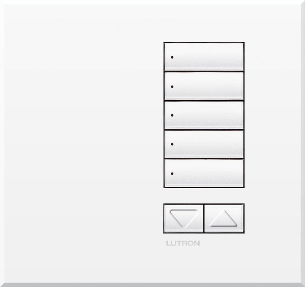 Lutron® QSWE-5BRLI-SN Dimmer Switches