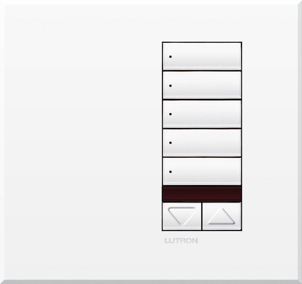 Lutron® QSWE-5BRLIRI-SC Dimmer Switches