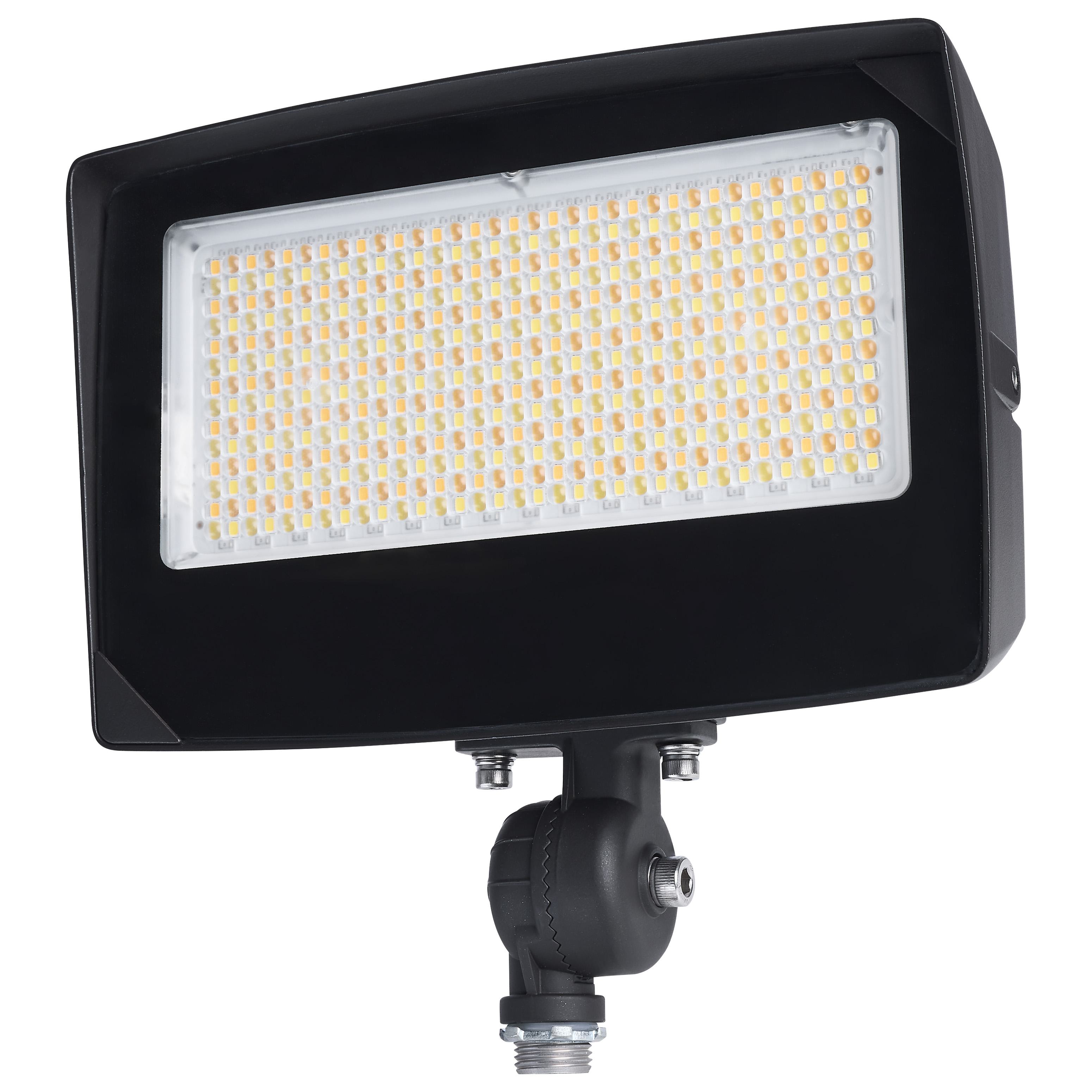 SATCO® 65-1541 Flood Light Fixtures