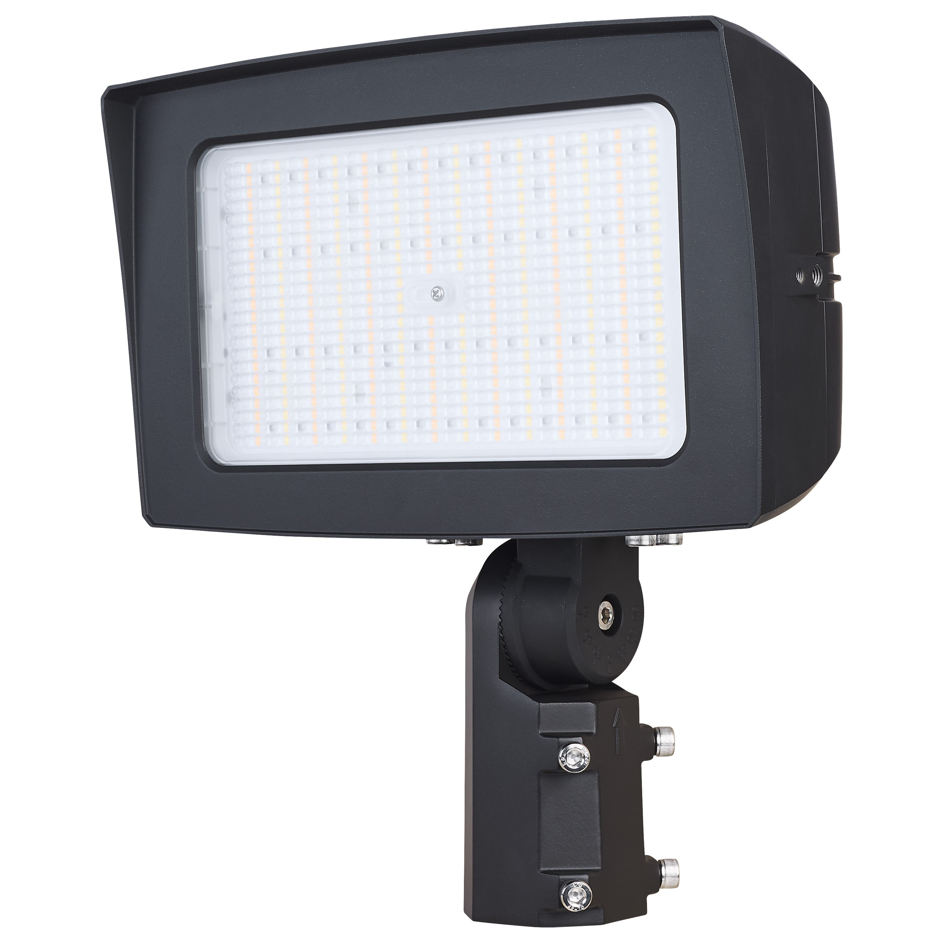 SATCO® 65-1542 Flood Light Fixtures