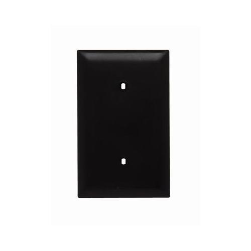 Pass & Seymour® TP14 Blank Wallplates