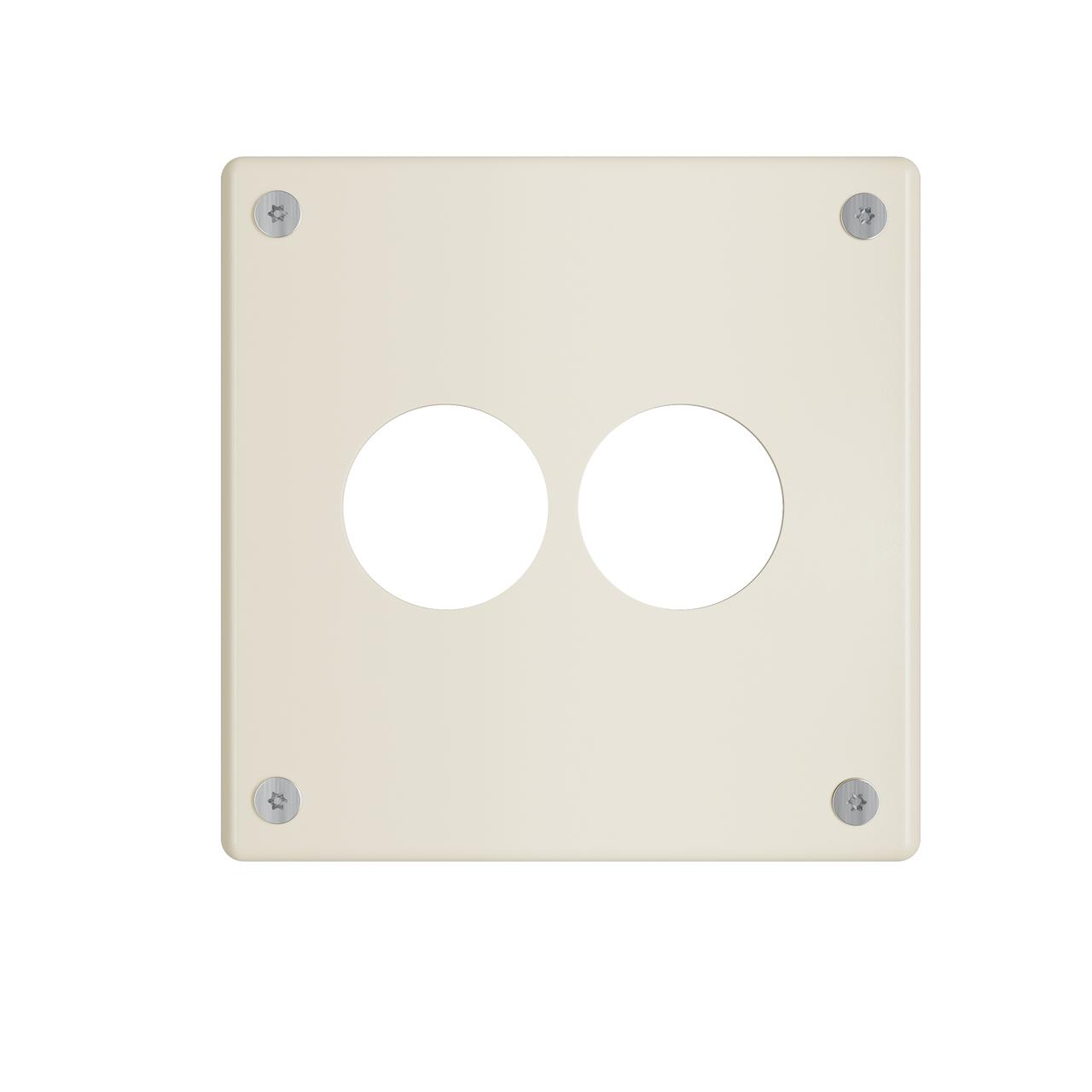 Pass & Seymour® WPP32N911IVYPS Standard Wallplates