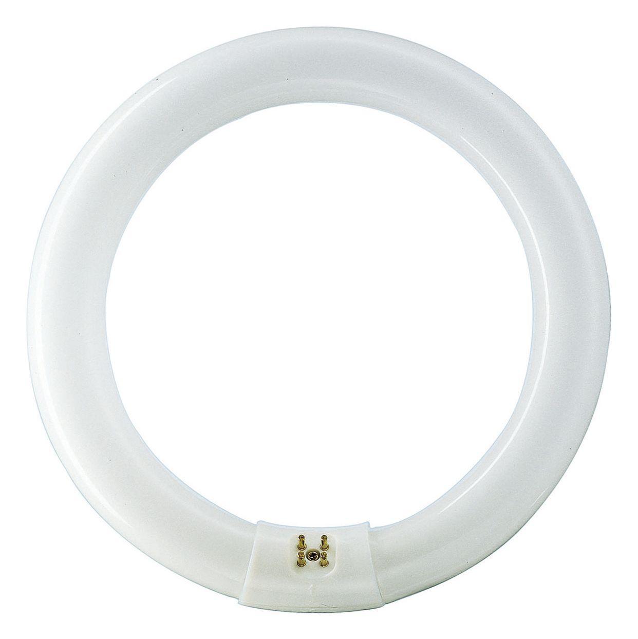 Philips 391169 Fluorescent - Circline