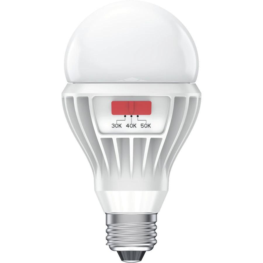 RAB Lighting A21-17-E26-9CCT-DIM-UNV HID Replacement Lamp, 17 W, Round Shape, 2026 - 2173 Lumens