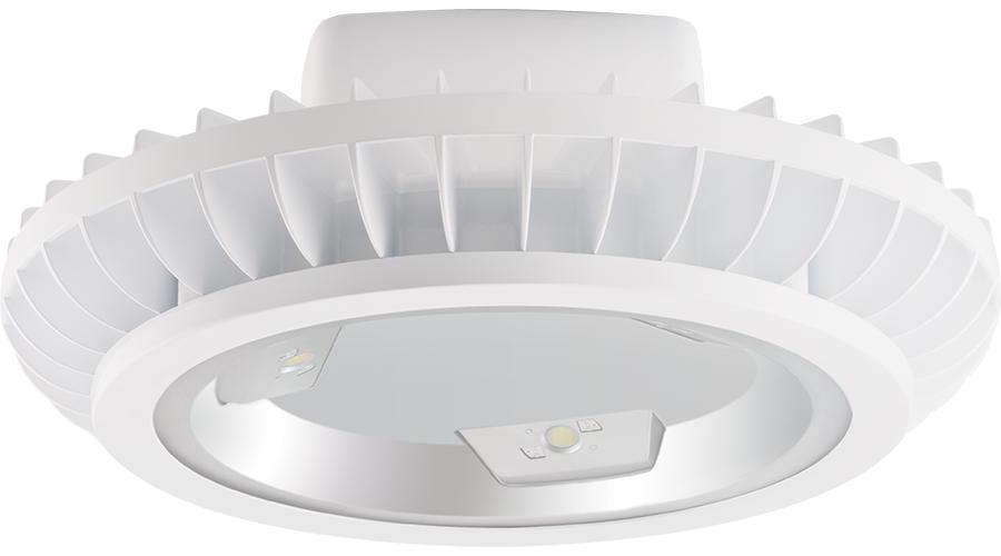 RAB Lighting BAYLED78W Indoor High Bay Fixtures
