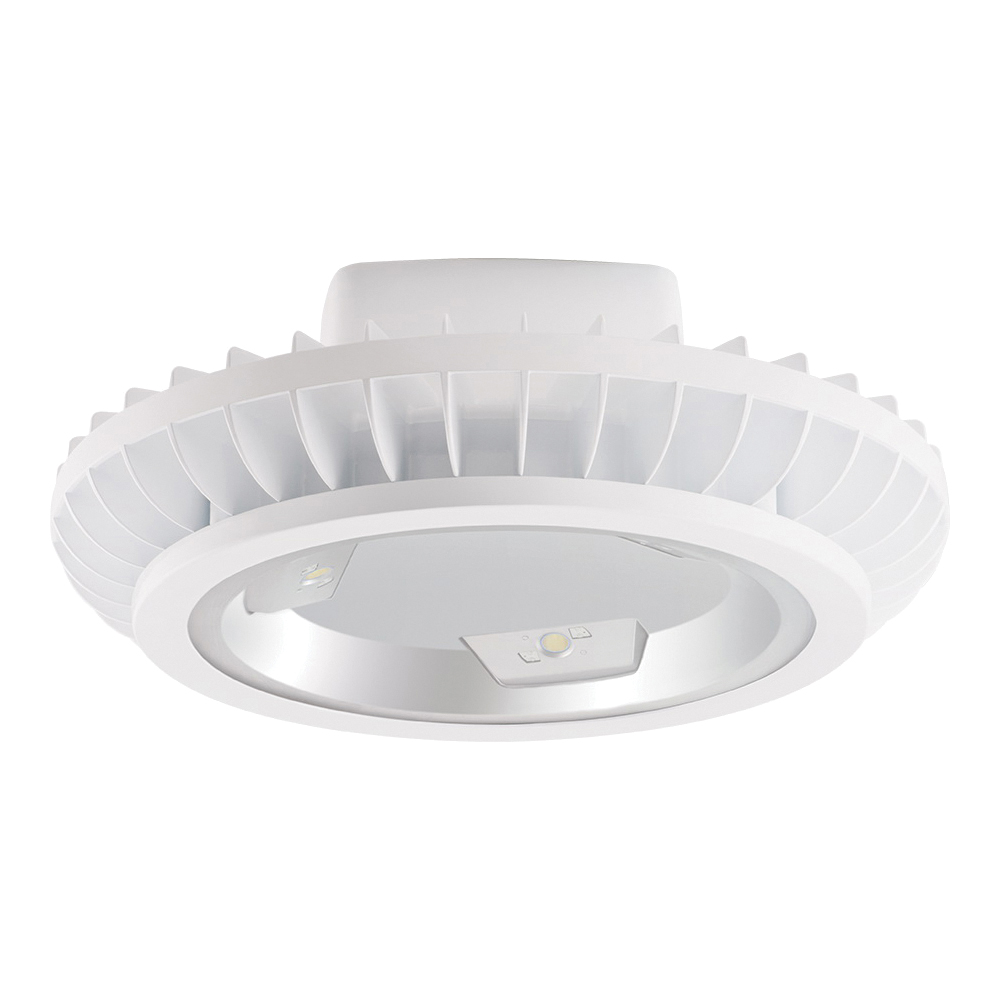RAB Lighting BAYLED78YW Indoor High Bay Fixtures