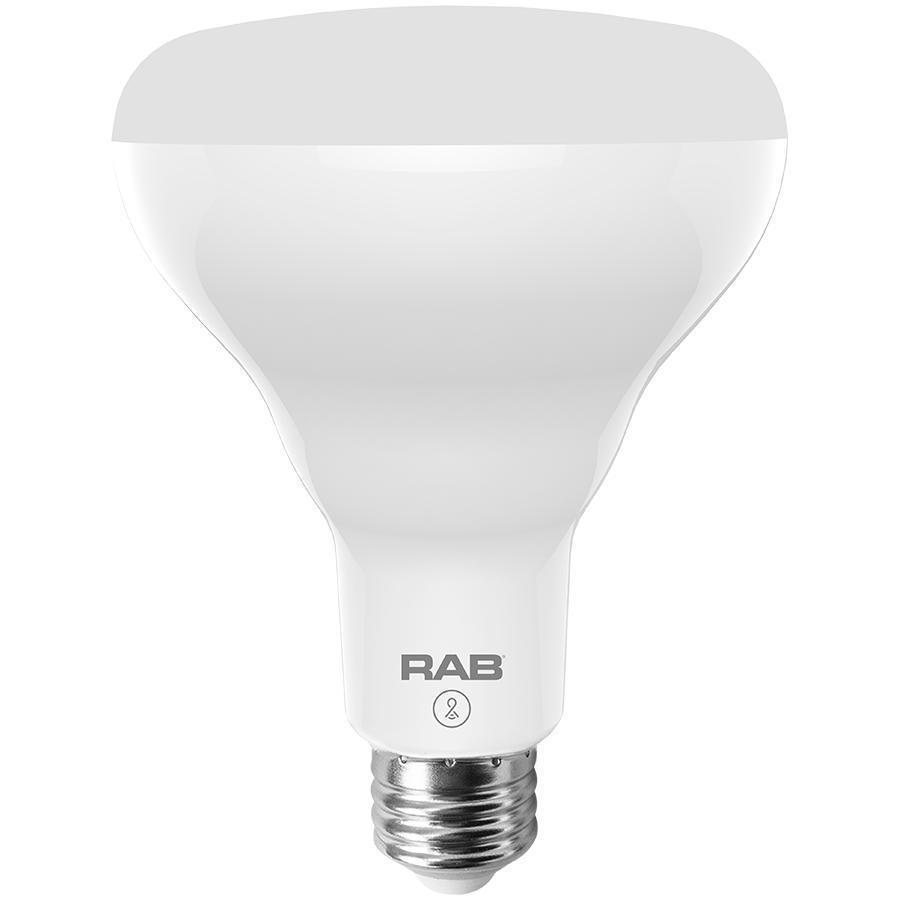 RAB Lighting BR30-10-E26-9SS/LC LED - A-Line