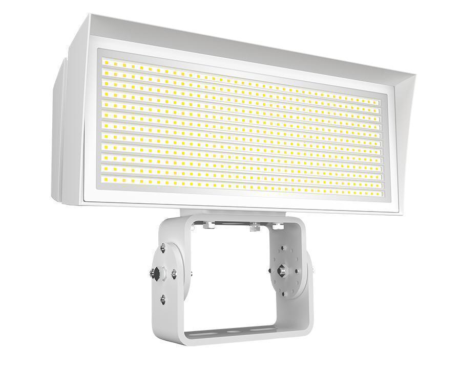 RAB Lighting FFLEDLYTW/480/7PR Flood Light Fixtures