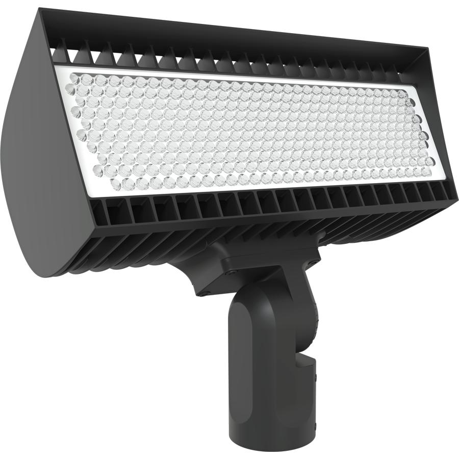 RAB Lighting FXLEDLB33SF Flex Flood Light