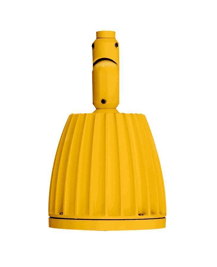 RAB Lighting GNLED26YYL Outdoor Decorative Fixtures
