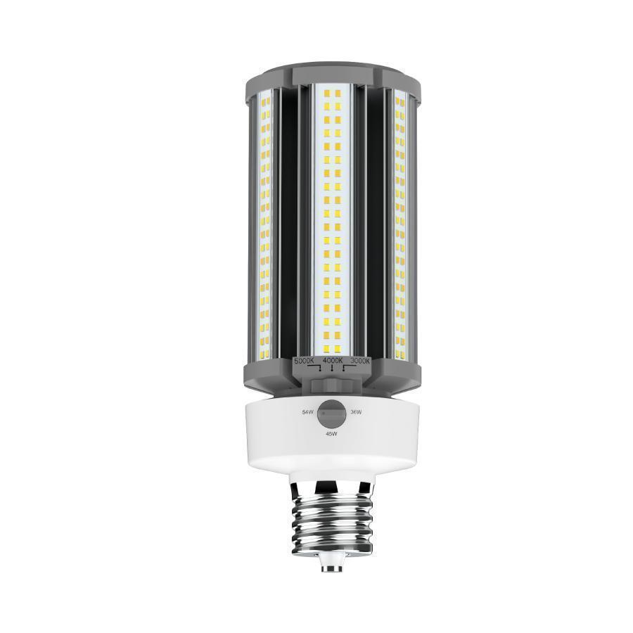 RAB Lighting HID-54S-EX39-8TW-BYP/LCBR HID - Metal Halide