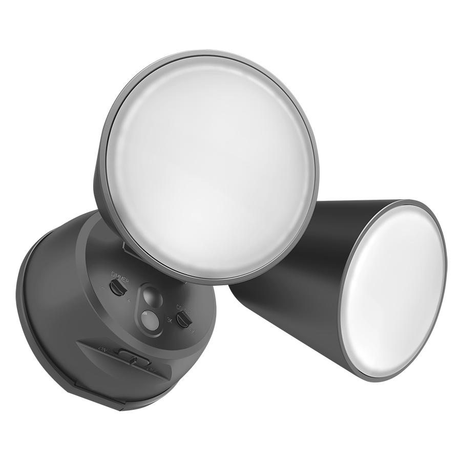 RAB Lighting L2X Flood Light