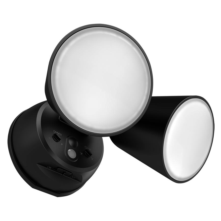 RAB Lighting L2XB Flood Light