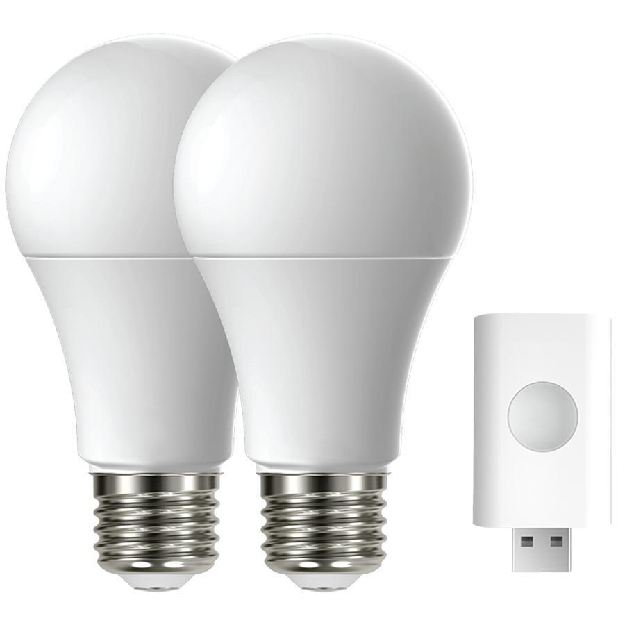 RAB Lighting LCBA19-10-E26-9TW-SS-NS-2P-1 LED - A-Line
