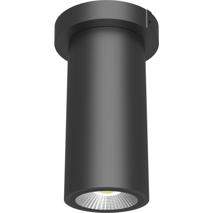 RAB Lighting CD34-3SPZ LED - Decorative