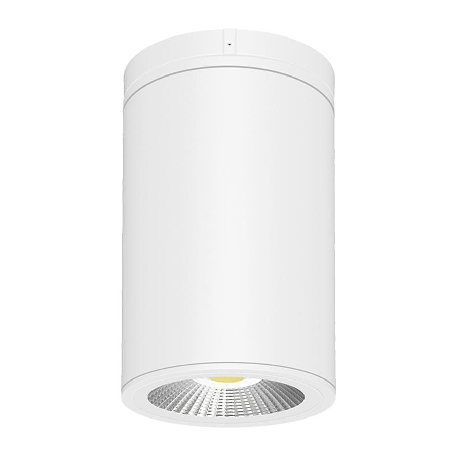 RAB Lighting CD34-6SPW/RGB LED - Decorative