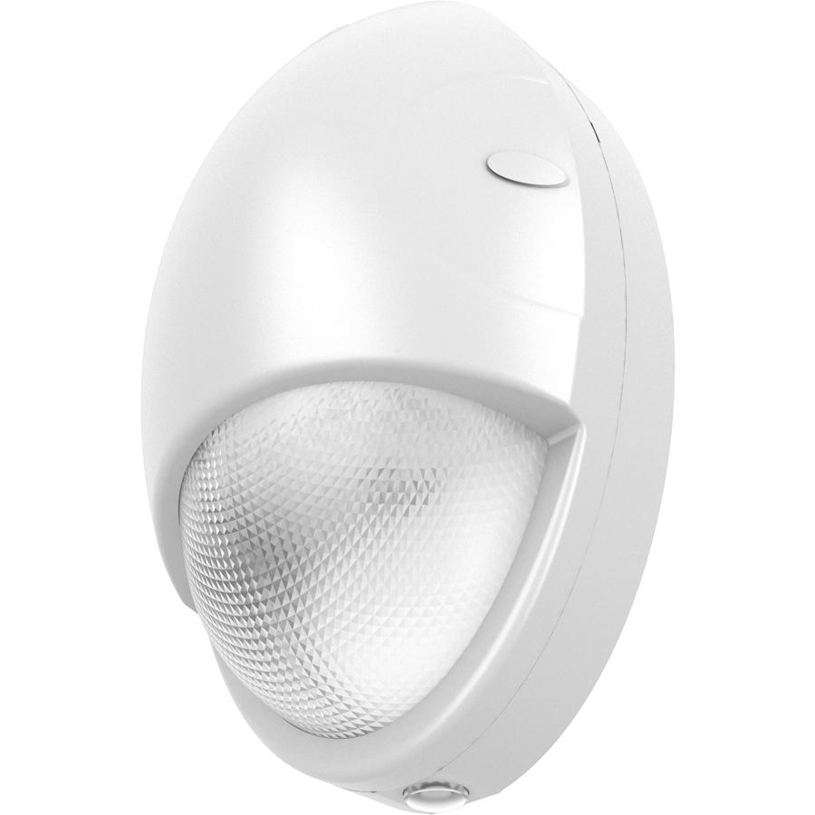 RAB Lighting DROPW Outdoor Wallpacks
