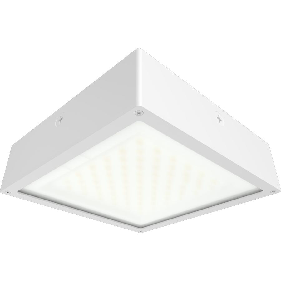 RAB Lighting VAN34-30FFRW Outdoor Canopy Lighting
