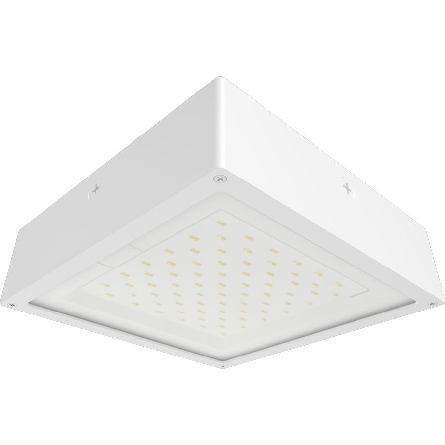 RAB Lighting VAN34-90FW/E Outdoor Canopy Lighting