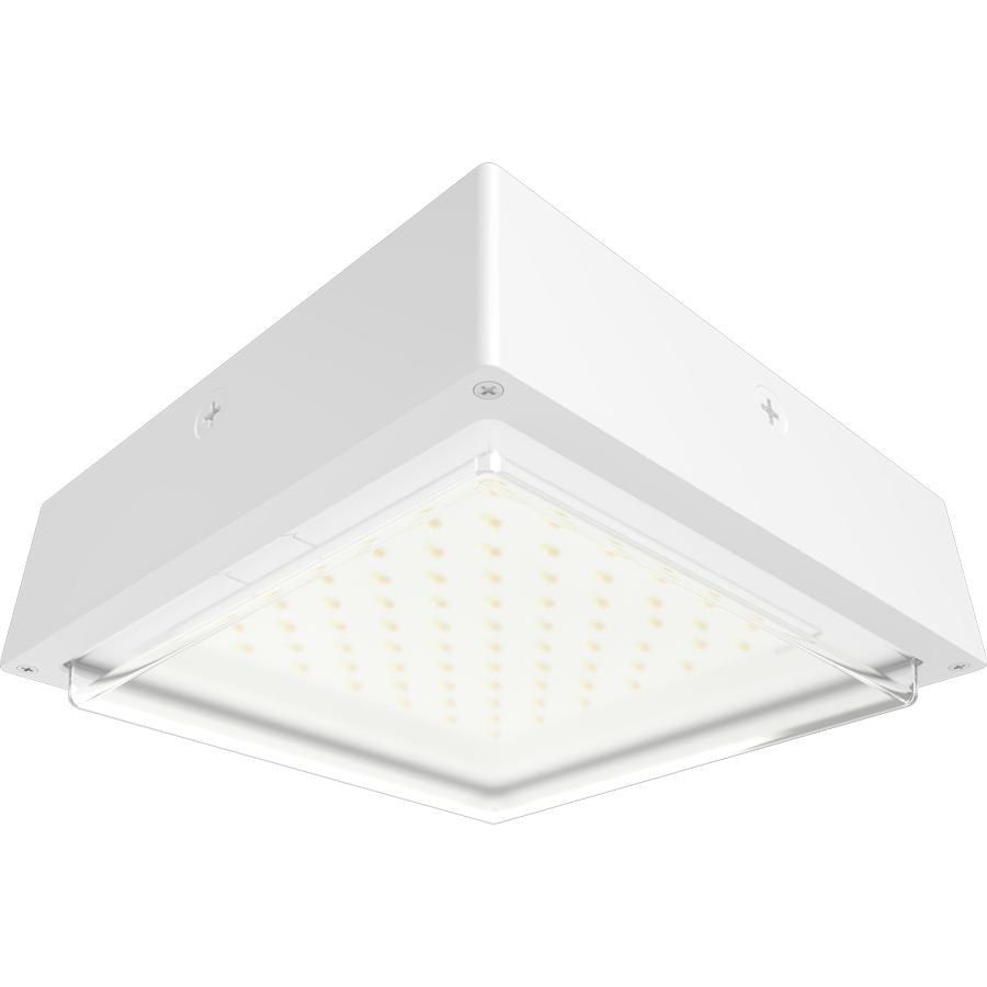 RAB Lighting VAN34-30W VAN34 High-Efficacy Canopy Light, 120 to 277 V, White Housing