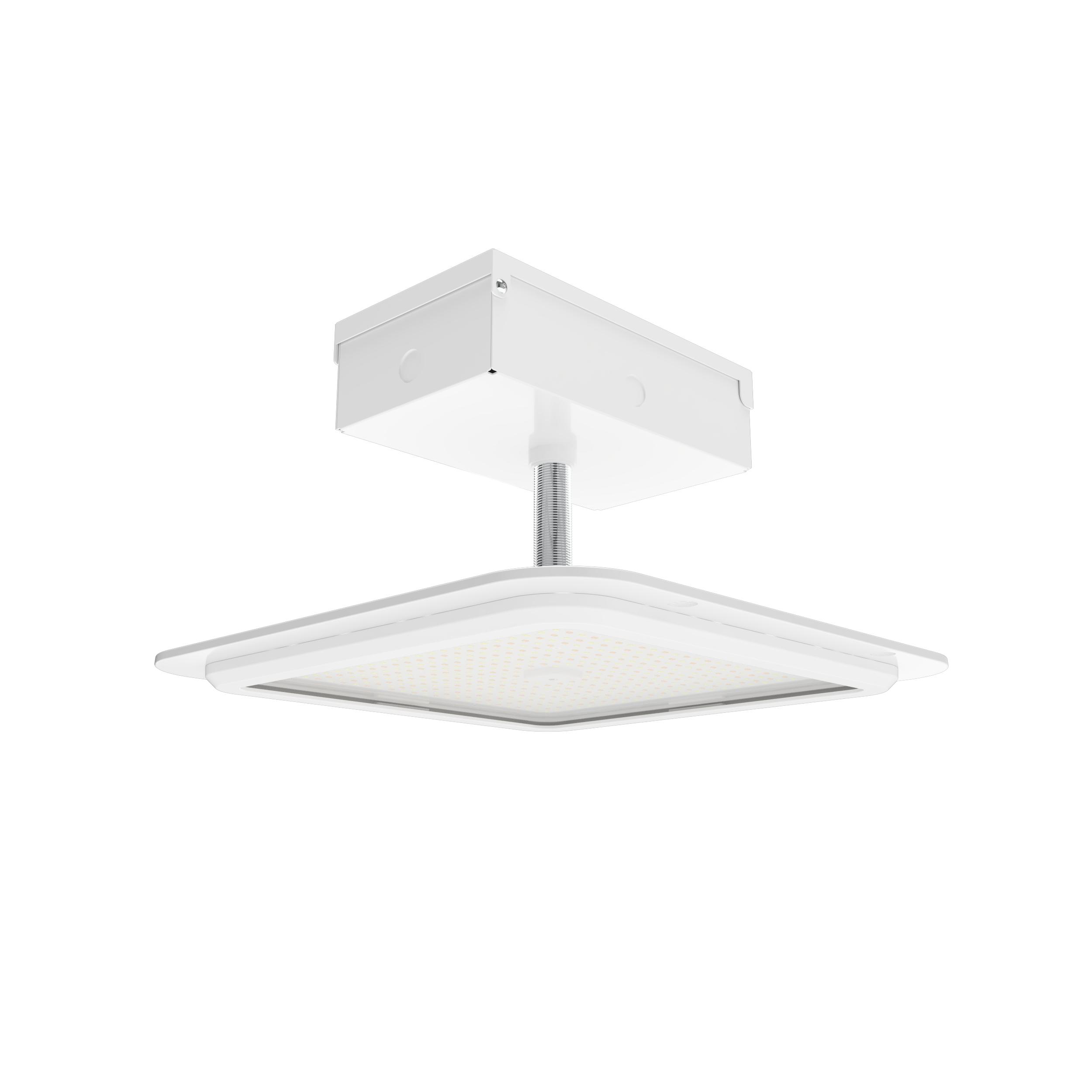 RAB Lighting MASI16 Outdoor Canopy Lighting