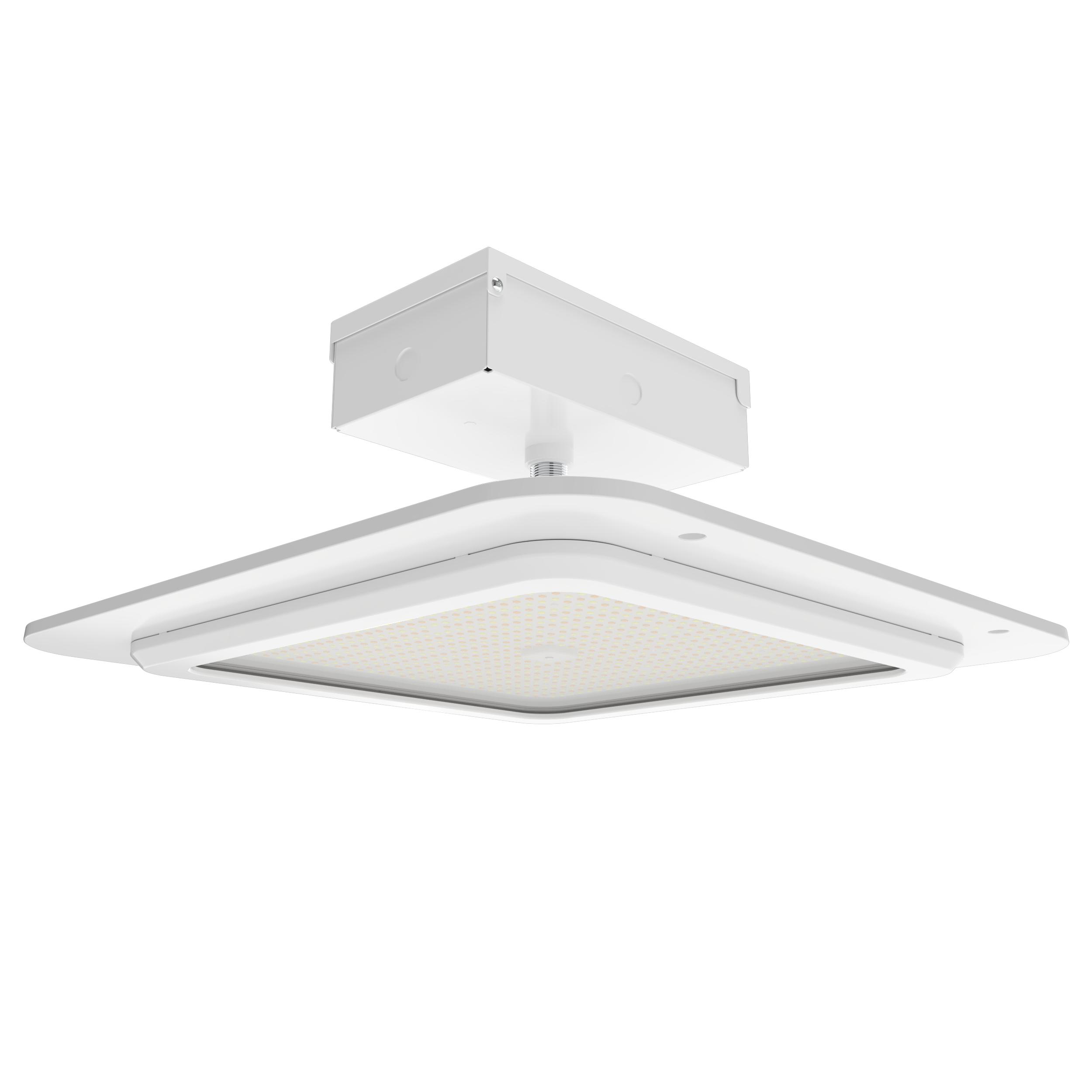 RAB Lighting MASI20 Outdoor Canopy Lighting