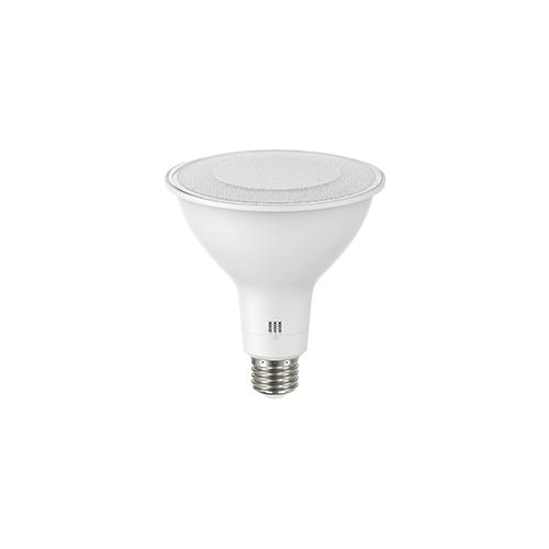 RAB Lighting PAR38FA-19-9CCT-40D-DIM LED - Reflective