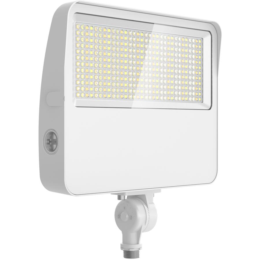 RAB Lighting XL22-80W Flood Light Fixtures