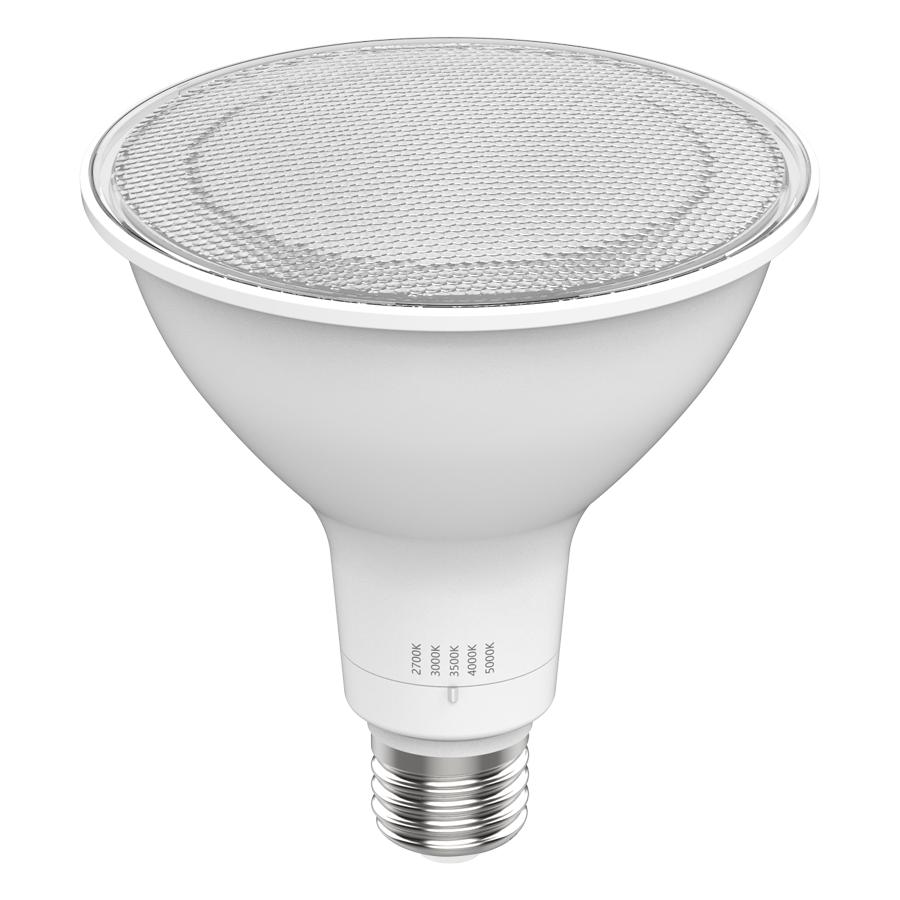 RAB Lighting PAR38FA-19-9CCT-40D-UNV Lamps