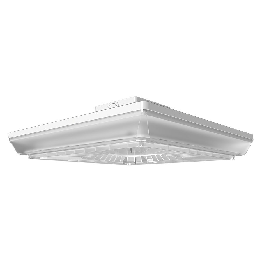 RAB Lighting PRT80SW/E Garage Lighting