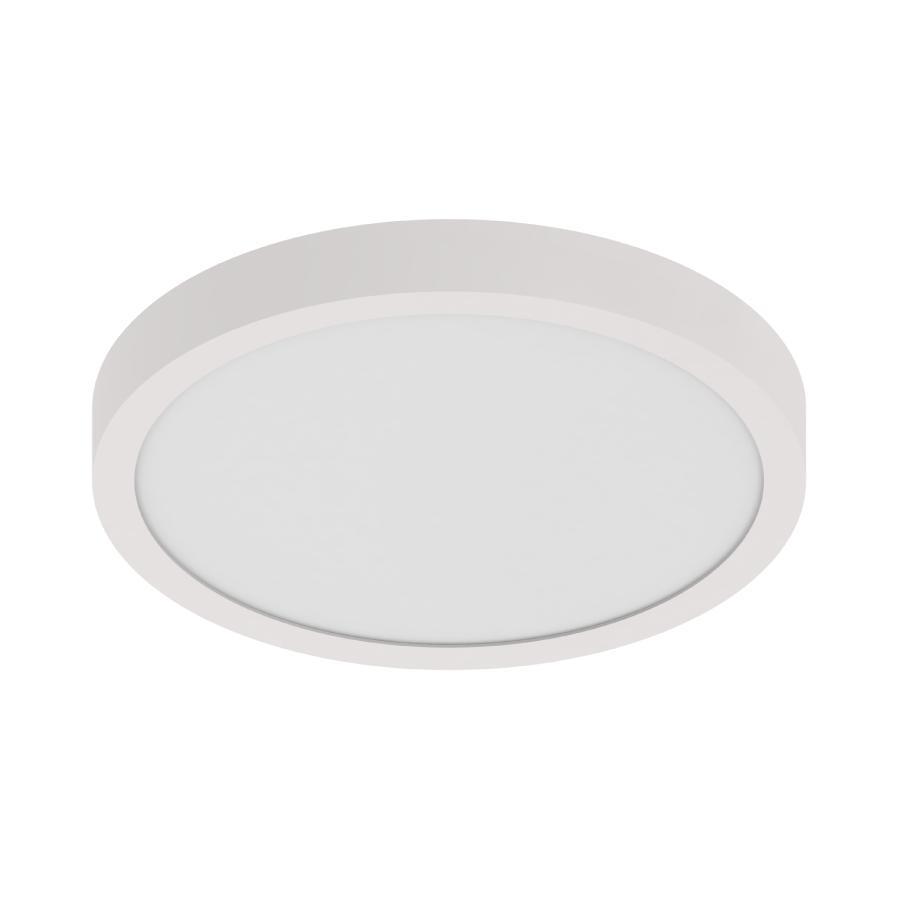 RAB Lighting SUMO-R-12/D10 Indoor Surface Mount Fixtures