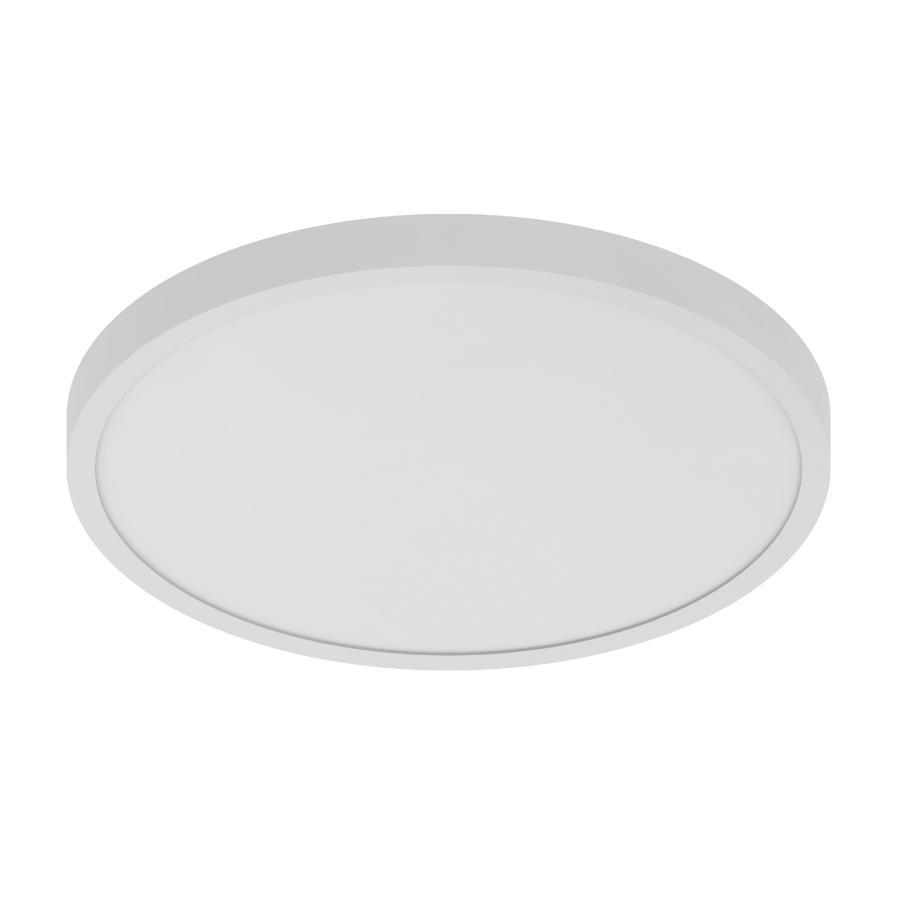 RAB Lighting SUMO-R-19/D10 Indoor Surface Mount Fixtures