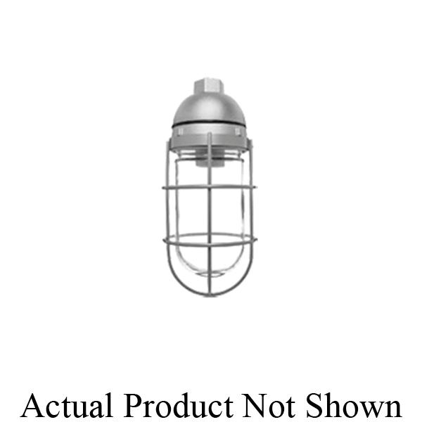 RAB Lighting VP100 Outdoor Vaporproof Light Fixtures
