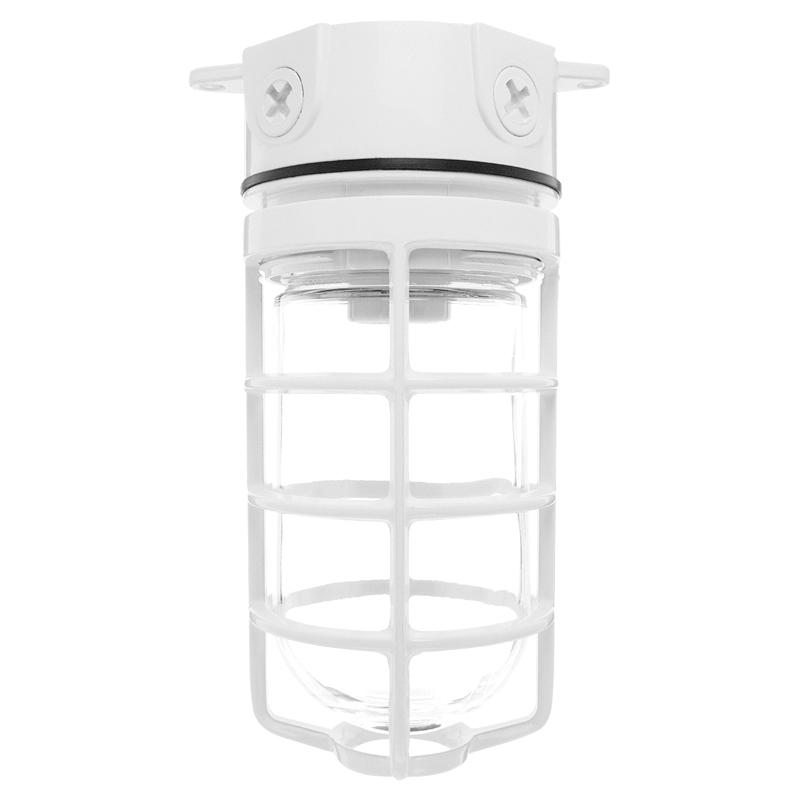 RAB Lighting VX100DGW Outdoor Vaporproof Light Fixtures