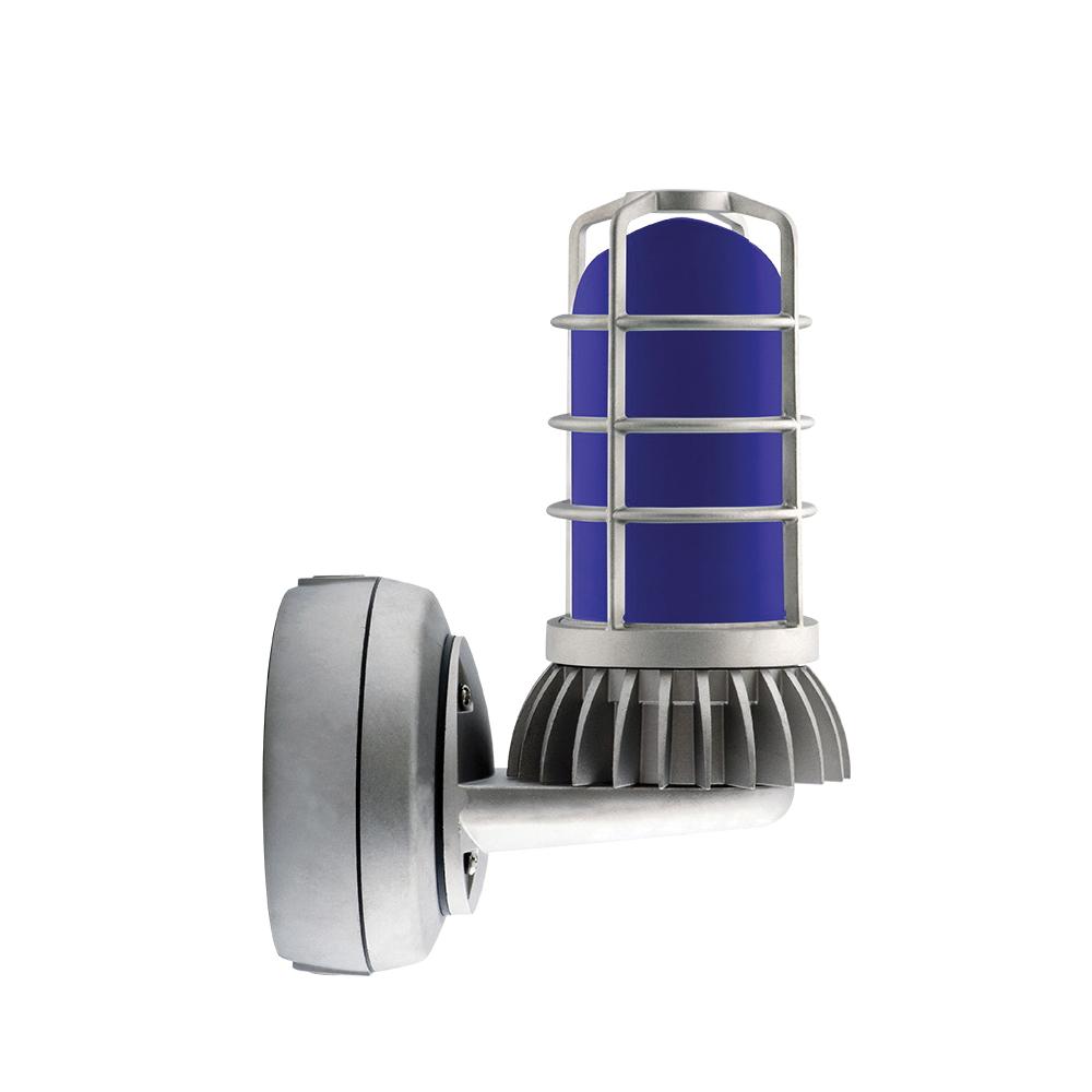 RAB Lighting VXBRLED13DG/UP-BLU Outdoor Vaporproof Light Fixtures