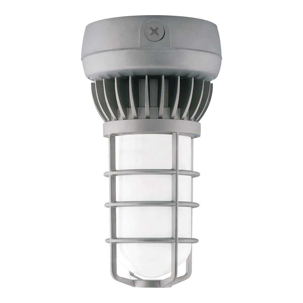 RAB Lighting VXLED26DG/PCS Outdoor Vaporproof Light Fixtures
