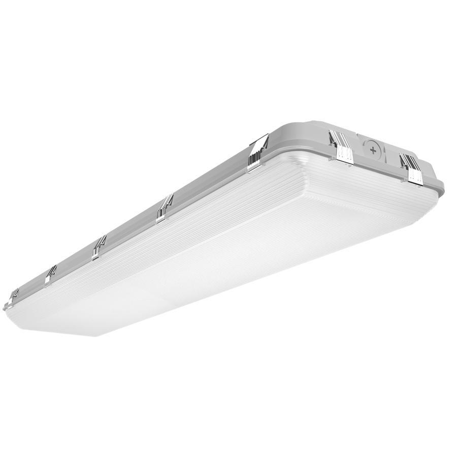 RAB Lighting WHALE4H/E Indoor Surface Mount Fixtures